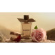 Купить Аромат Burberry Rose Ember Парфюмерная вода