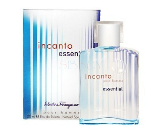 Купить Аромат Salvatore Ferragamo Incanto Essential Pour Homme Туалетная вода