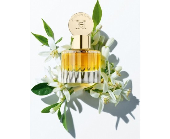 Купить Аромат Carolina Herrera Blossom Elixir Масляные духи