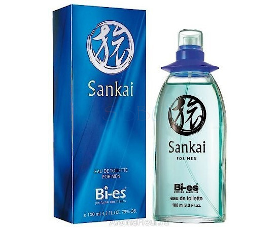 Купить Аромат Bi-es Sankai for Men Туалетная вода