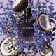 Купить Аромат Valentino Valentino Uomo Born In Roma Purple Melancholia Туалетная вода