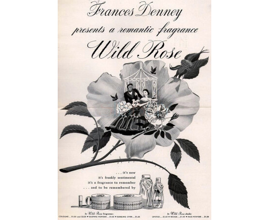 Купить Аромат Frances Denney Wild Rose Одеколон
