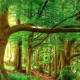 Купить Аромат Keiko Mecheri Precious Forest Парфюмерная вода