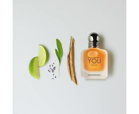 Купить Аромат Giorgio Armani Stronger With You Freeze Туалетная вода