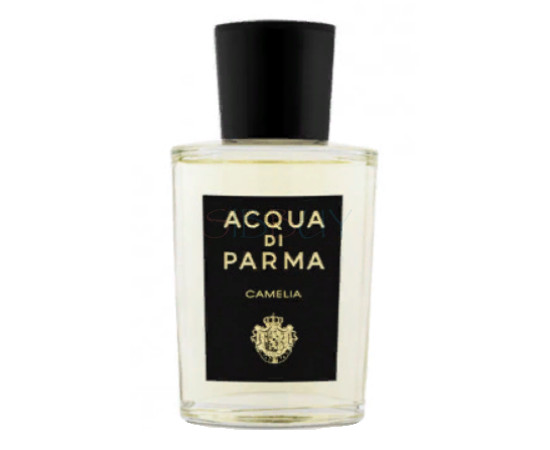 Купить недорого Аромат Acqua di Parma Camelia Парфюмерная вода