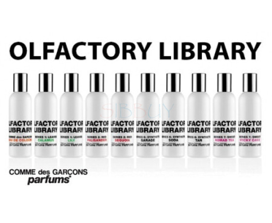 Купить недорого Аромат Comme des Garçons Parfums Olfactory Library Series 1: Leaves Calamus Туалетная вода