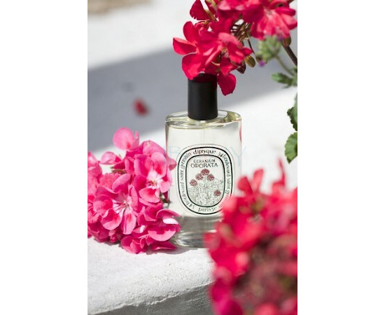 Купить недорого Аромат Diptyque Geranium Odorata Туалетная вода