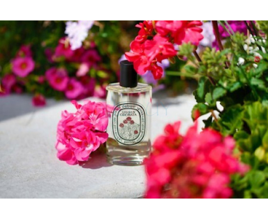 Купить недорого Аромат Diptyque Geranium Odorata Туалетная вода