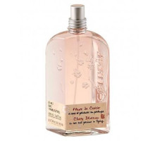 Аромат L`Occitane en Provence Cherry Blossom Туалетная вода