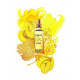 Купить недорого Аромат L`Occitane en Provence Fleur dOr & Acacia Туалетная вода