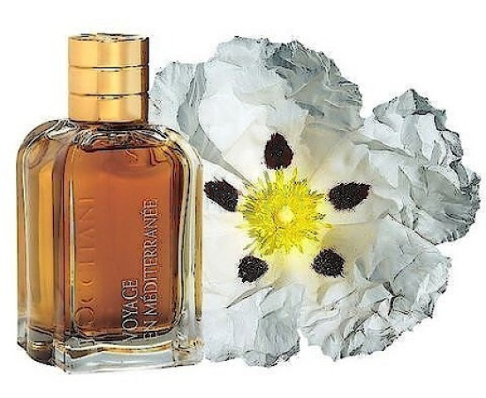 Купить недорого Аромат L`Occitane en Provence Labdanum de Seville Парфюмерная вода