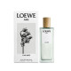 Купить недорого Аромат Loewe A Mi Aire Туалетная вода