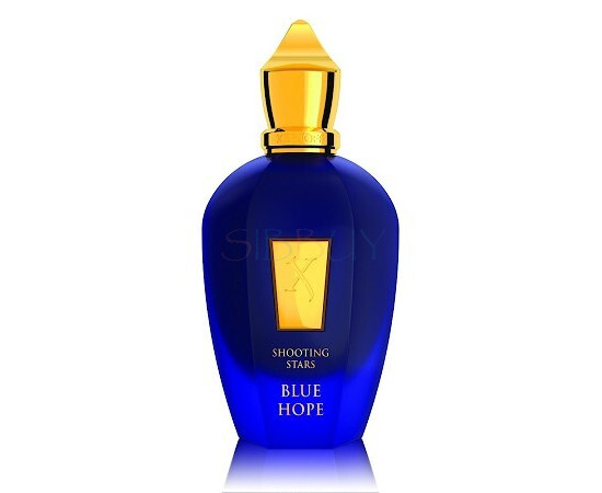 Купить недорого Аромат Xerjoff Blue Hope Парфюмерная вода