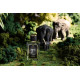 Купить недорого Аромат Zoologist Perfumes Elephant Духи / Экстракт