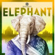 Купить недорого Аромат Zoologist Perfumes Elephant Духи / Экстракт