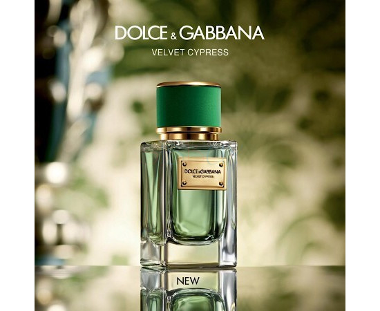 Купить Аромат Dolce & Gabbana Velvet Cypress Парфюмерная вода