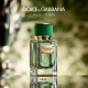 Купить Аромат Dolce & Gabbana Velvet Cypress Парфюмерная вода