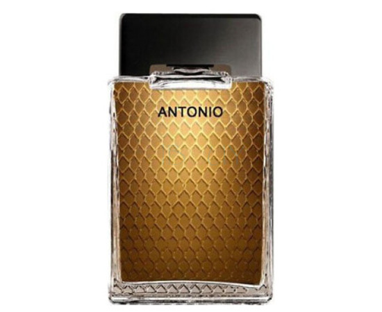 Купить Аромат Antonio Banderas Antonio Туалетная вода