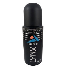 Аромат Axe Tempest Ароматная дымка