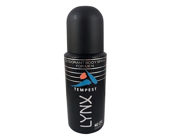 Купить Аромат Axe Tempest Ароматная дымка