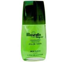 Аромат Bourjois Masculin 2 Vetyver Туалетная вода