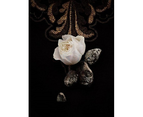 Купить Аромат Yves Saint Laurent Exquisite Embroidery Парфюмерная вода