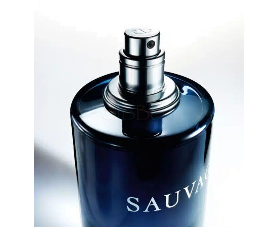 Купить Аромат Dior Sauvage 2025 Туалетная вода