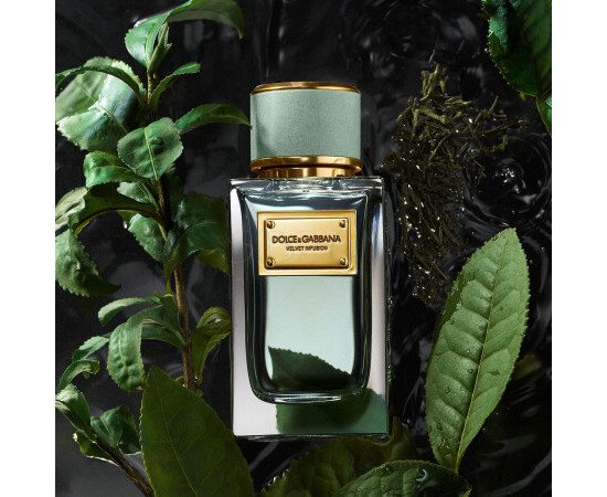 Купить Аромат Dolce & Gabbana Velvet Infusion Парфюмерная вода