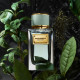 Купить Аромат Dolce & Gabbana Velvet Infusion Парфюмерная вода
