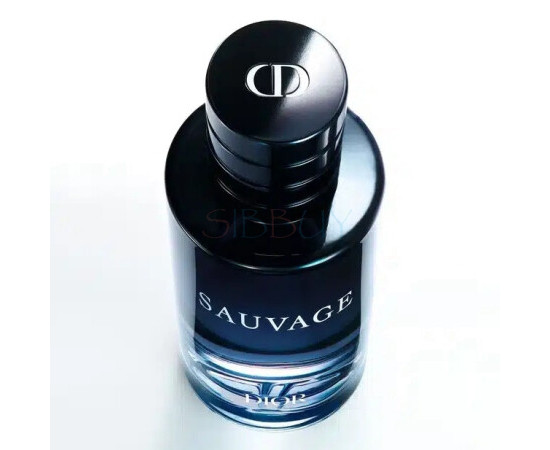 Купить Аромат Dior Sauvage 2025 Туалетная вода