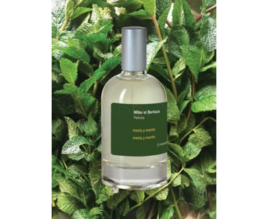 Купить Аромат Miller et Bertaux menta y menta Парфюмерная вода