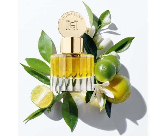 Купить Аромат Carolina Herrera Citrus Elixir Масляные духи