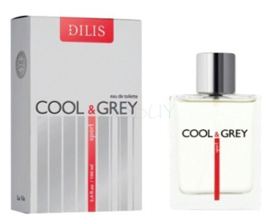 Купить Аромат Dilis Parfum Cool & Grey Sport Туалетная вода