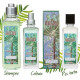 Купить Аромат L`Occitane en Provence Araucaria Одеколон
