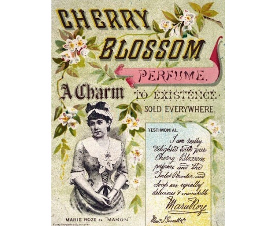 Купить Аромат John Gosnell & Co. Cherry Blossom