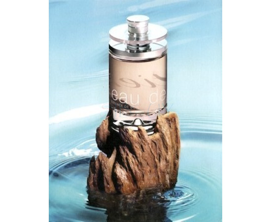 Купить недорого Аромат Cartier Eau de Cartier Essence de Bois Туалетная вода