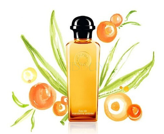 Купить недорого Аромат Hermès Eau de Mandarine Ambree Одеколон