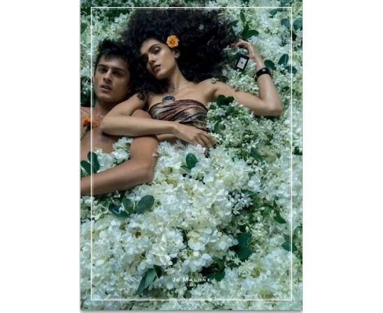 Купить недорого Аромат Jo Malone Jasmine Sambac & Marigold Одеколон