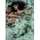 Купить недорого Аромат Jo Malone Jasmine Sambac & Marigold Одеколон