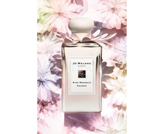 Купить недорого Аромат Jo Malone Star Magnolia Одеколон