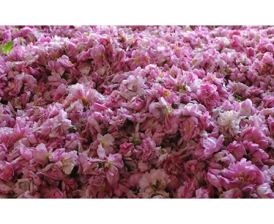 Купить недорого Аромат L`Occitane en Provence Rose Eau Parfumée Souffle Vivifiant Парфюмерная вода