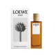 Купить недорого Аромат Loewe Solo Loewe Туалетная вода