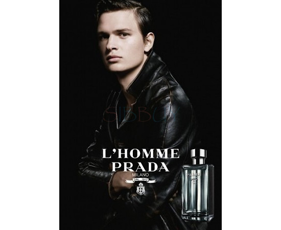 Купить недорого Аромат Prada Prada LHomme Туалетная вода