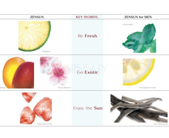 Купить недорого Аромат Shiseido Zen Sun Туалетная вода