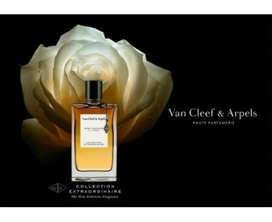 Купить недорого Аромат Van Cleef & Arpels Rose Velours Парфюмерная вода