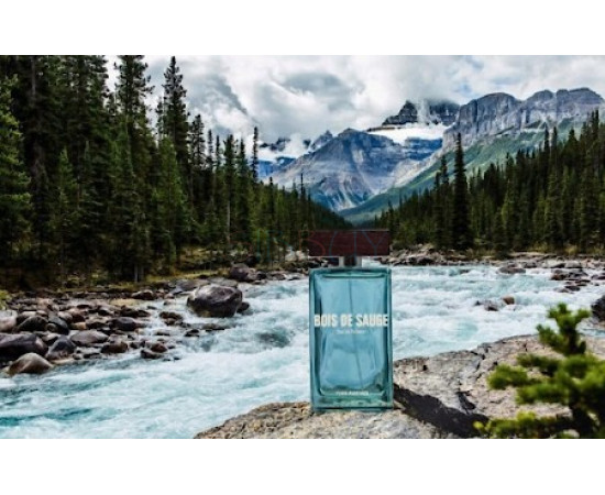 Купить недорого Аромат Yves Rocher Bois de Sauge Туалетная вода