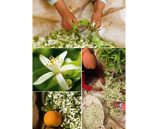 Купить недорого Аромат Yves Rocher Secrets dEssences Neroli Парфюмерная вода