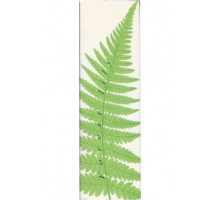 Аромат Avon Forest Lily Туалетная вода