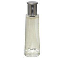 Аромат Avon Open Road (Prospect) Туалетная вода