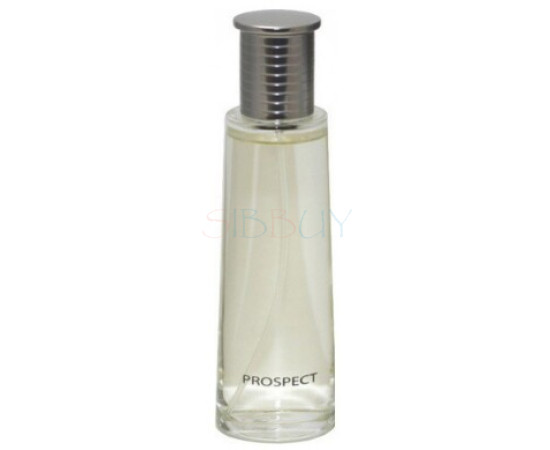 Купить Аромат Avon Open Road (Prospect) Туалетная вода